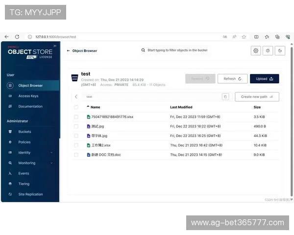 365真正网址的更新机制与维护策略确保每次访问都能获得最新内容和服务