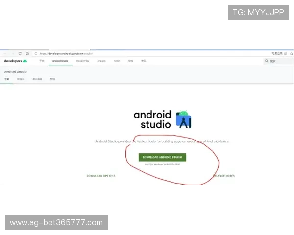 vinbet在线登录入口常见登录问题及解决措施全攻略