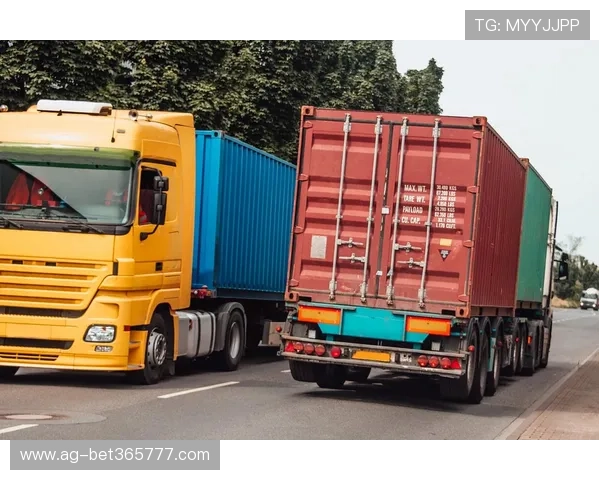 快捷、安全、可靠的3365速发国际物流让您的国际贸易更顺畅